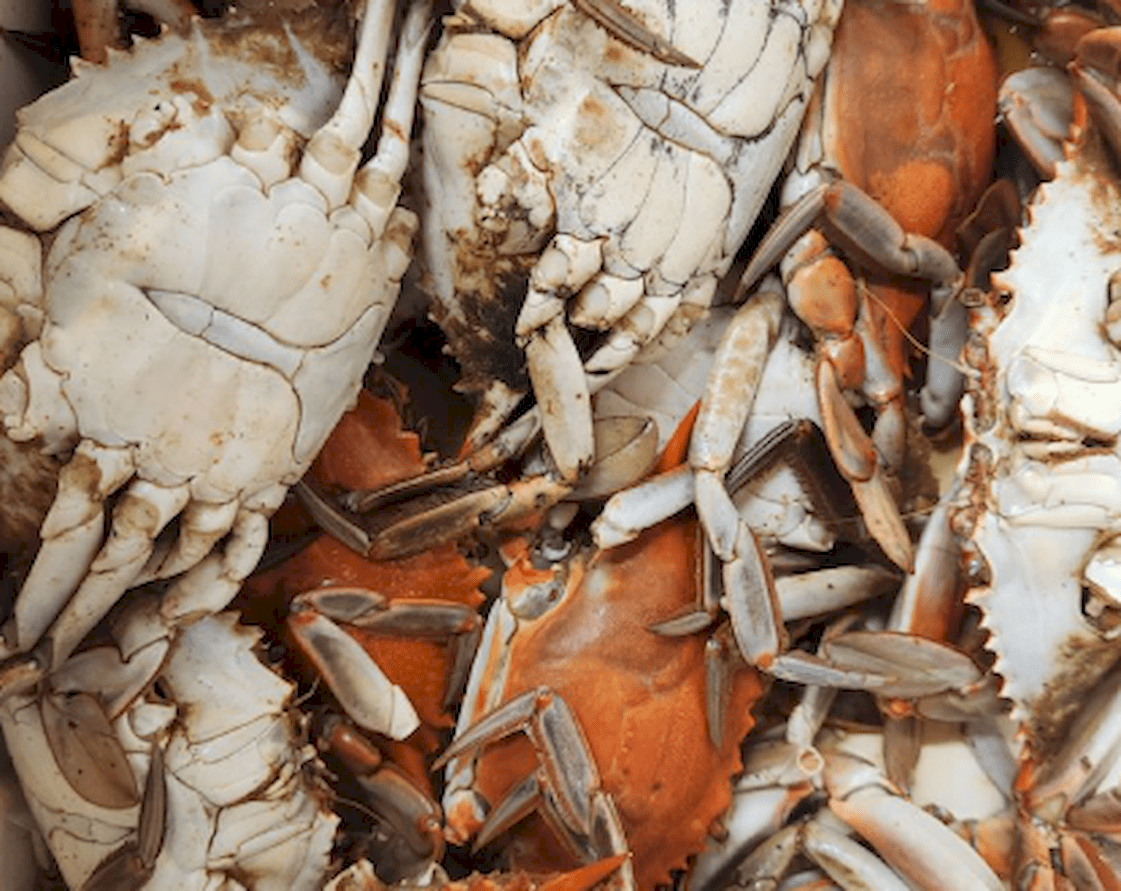 CRAB